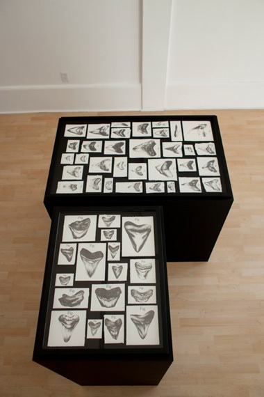 Yuval Pudik, Some of My Equals Cabinet No. 4 August 24, 2011, Silverman Gallery
