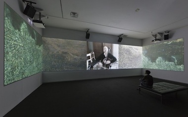 From New York: the Whitney Biennial Werner Herzog, Hearsay of the Soul