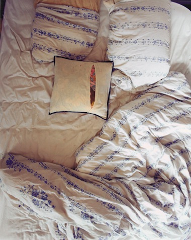 Tammy-Rae-Carland-Lesbian-Bed-13
