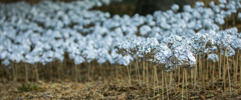 Judy Darragh: FOIL