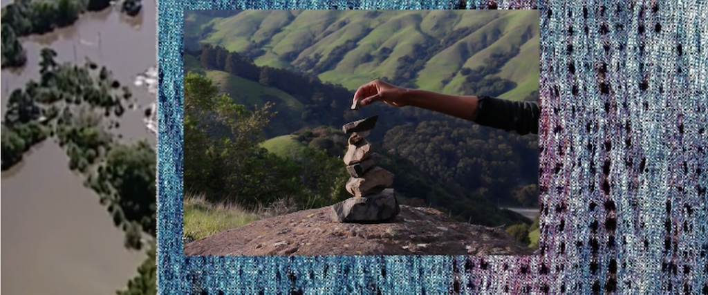 Diary of a Survivalist: Dionne Lee’s Signals and Reversals