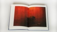 Disquiet by Amani Willett