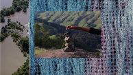 Diary of a Survivalist: Dionne Lee’s Signals and Reversals