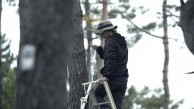 Trees in Pretty Shapes: Jeamin Cha at KADIST