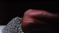 Radical Presence, Absence, A Body Without Politics