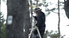 Trees in Pretty Shapes: Jeamin Cha at KADIST