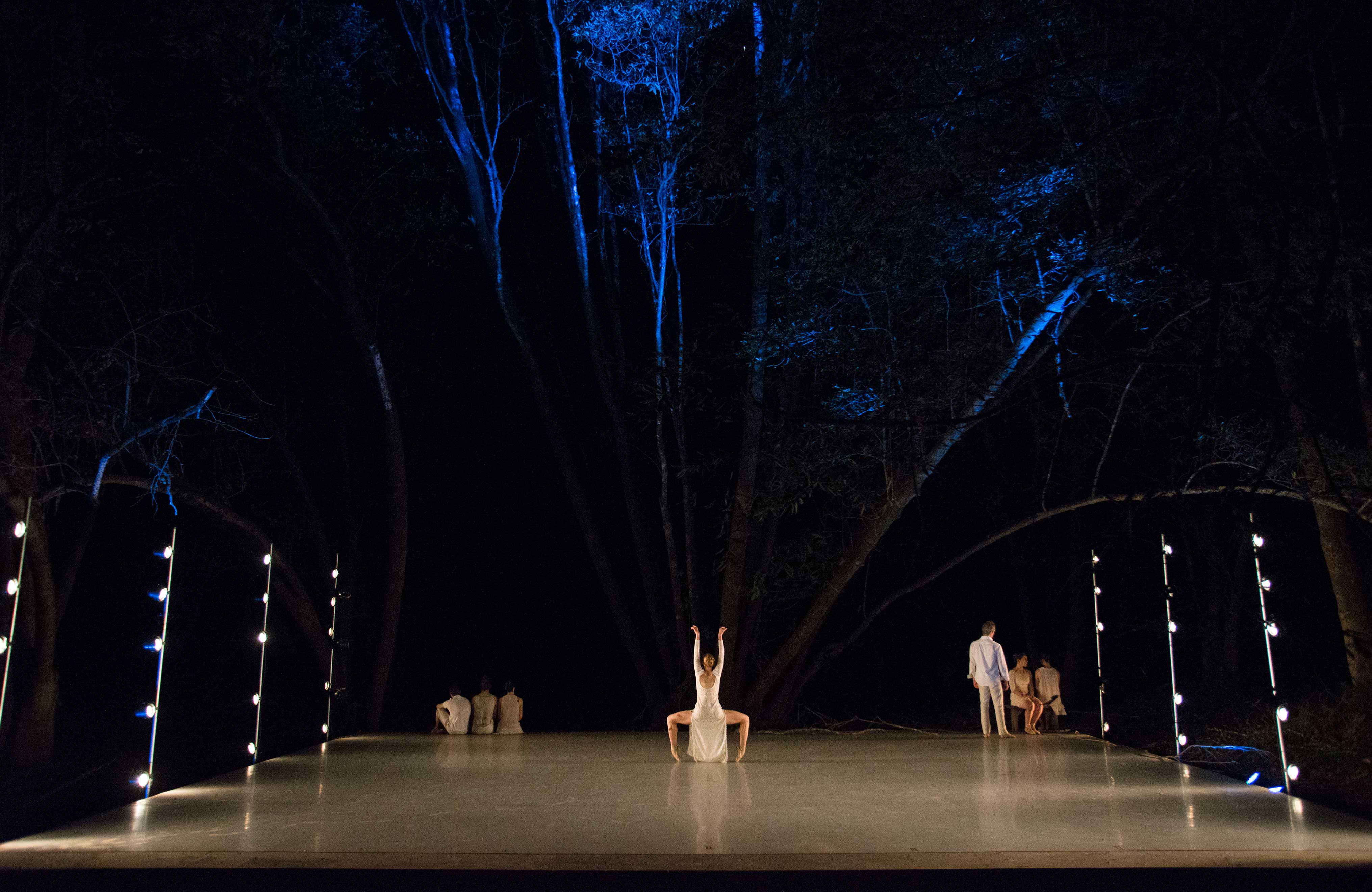 Words on Dance: Beyond the Proscenium