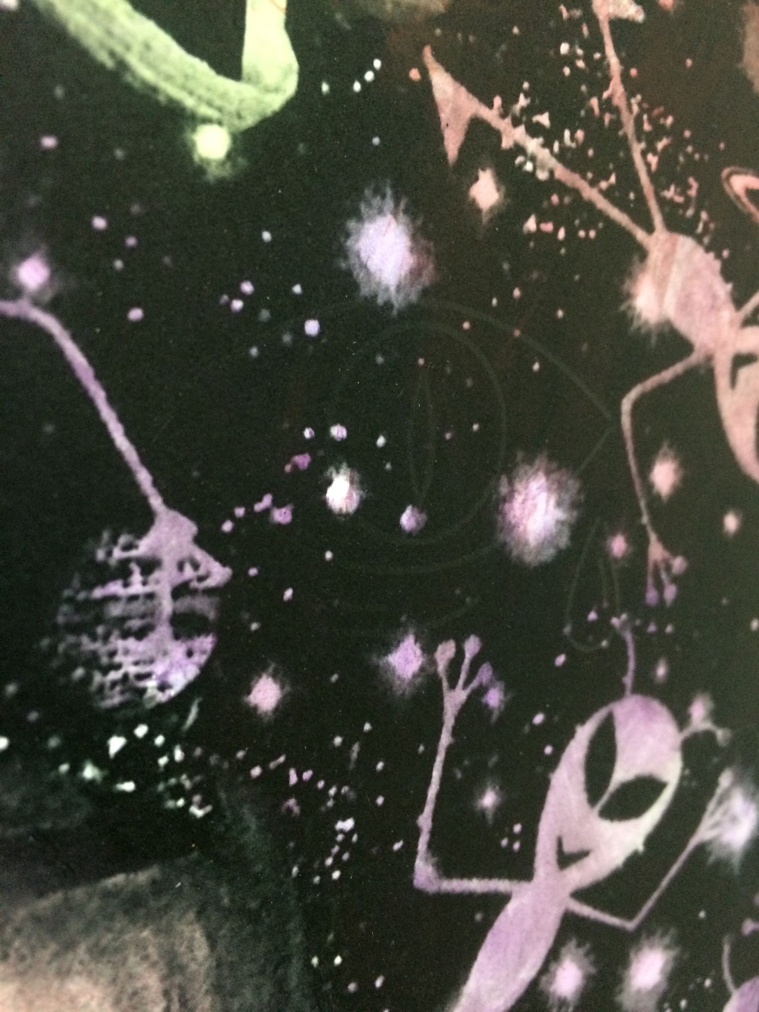 Ben Quinn: Shoegazing