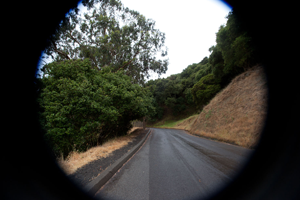 Experience & Record: Photography with Sean McFarland