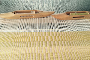 Text/ile: Weaving Climate Data with Tali Weinberg