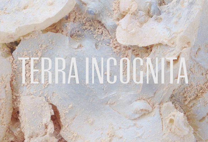 Terra Incognita: 2015 Mills College MFA Thesis Exhibition