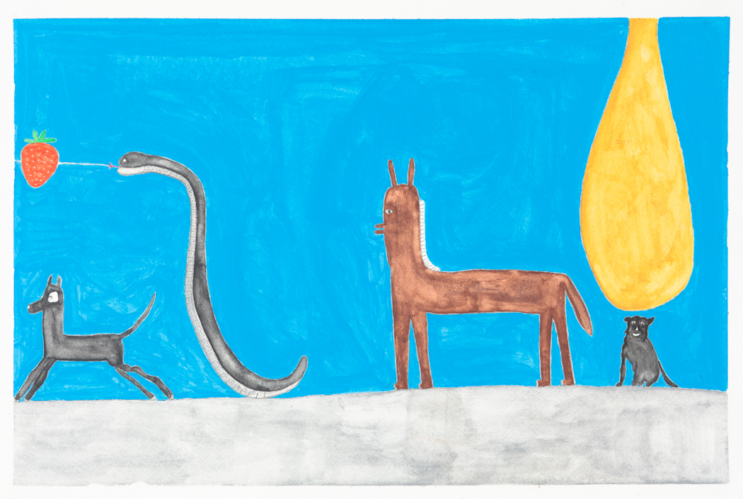 A Curious Menagerie