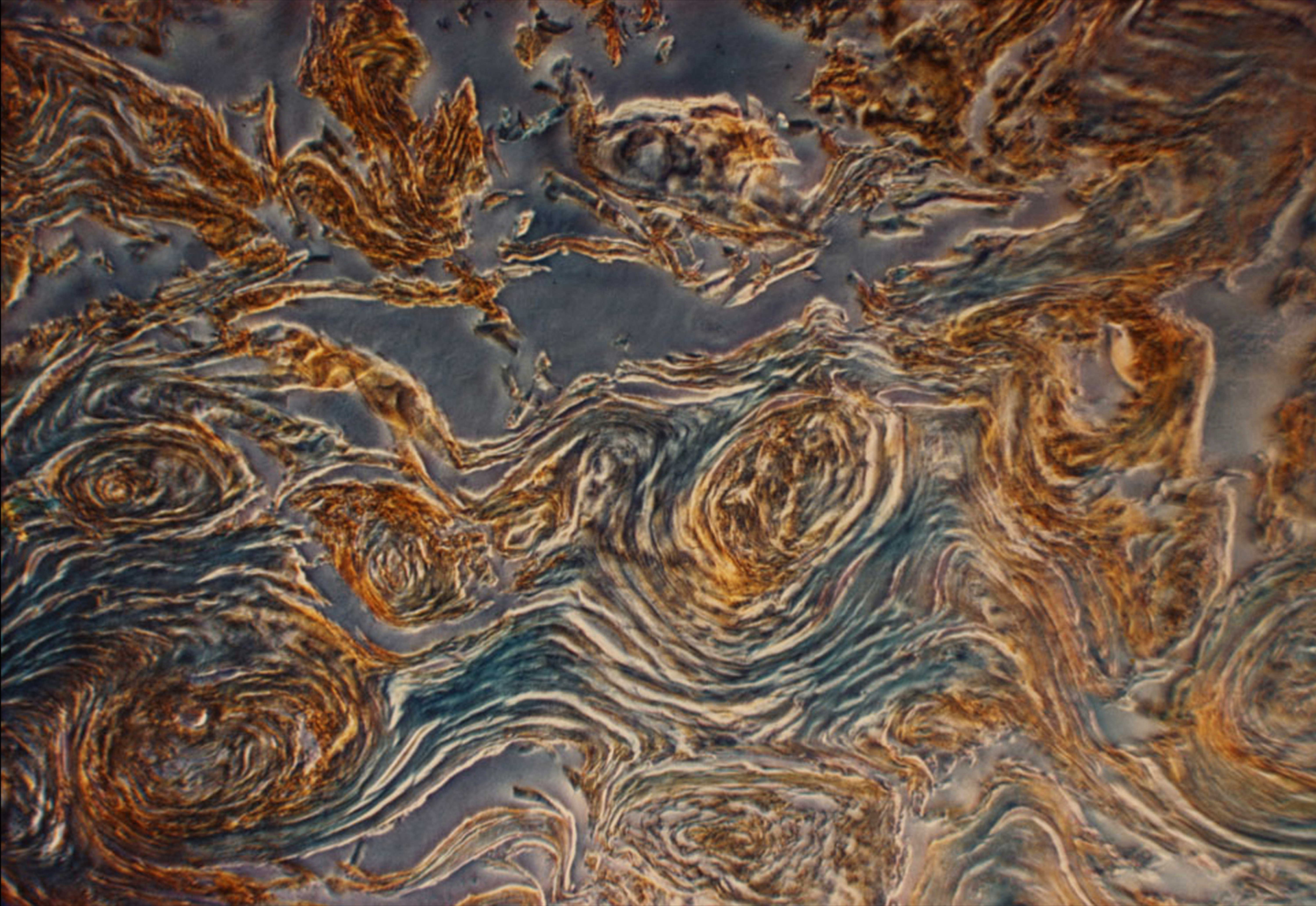 Denise King on Roman Vishniac’s Photomicroscopy