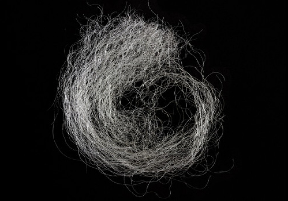 Artist Talk: Lava Thomas & Jacqueline Francis