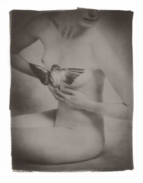 “Love & Kisses, George” by Brigitte Carnochan