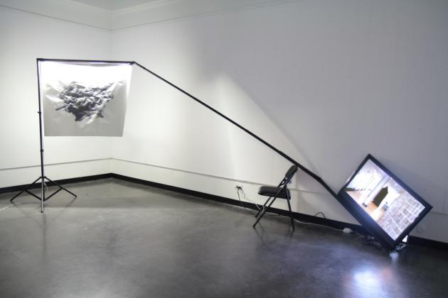 The 46th Annual University of California, Berkeley Master of Fine Arts Graduate Exhibition