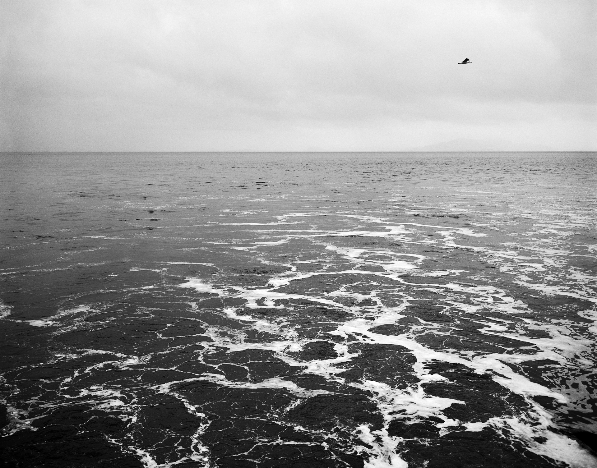 Gallery Route One exhibitions: Afton Love, Brian dean, and Dorothy Nissen