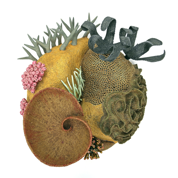 Tidal Response: Coastal Marine Environments from Above and Below