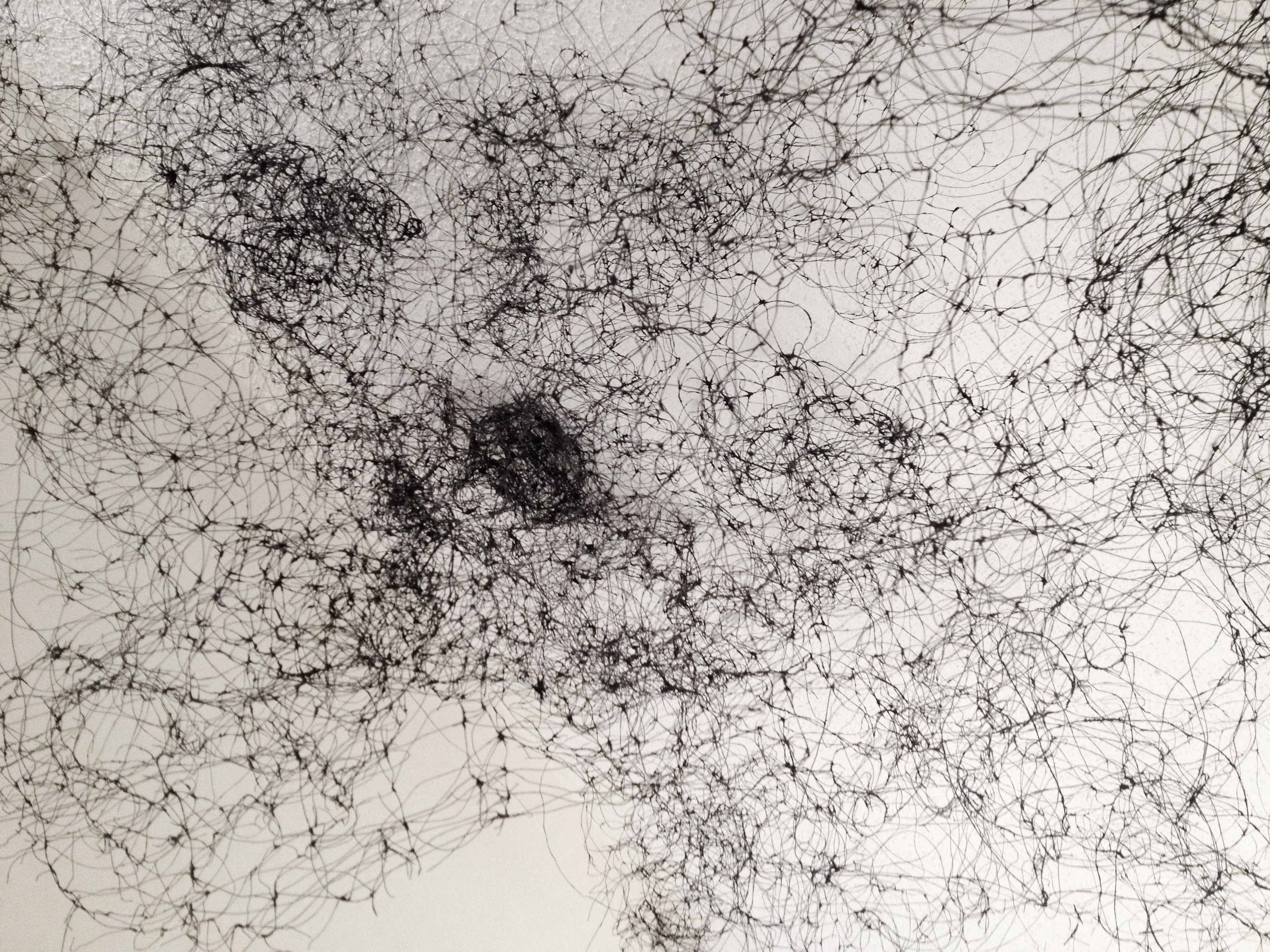 Swarm