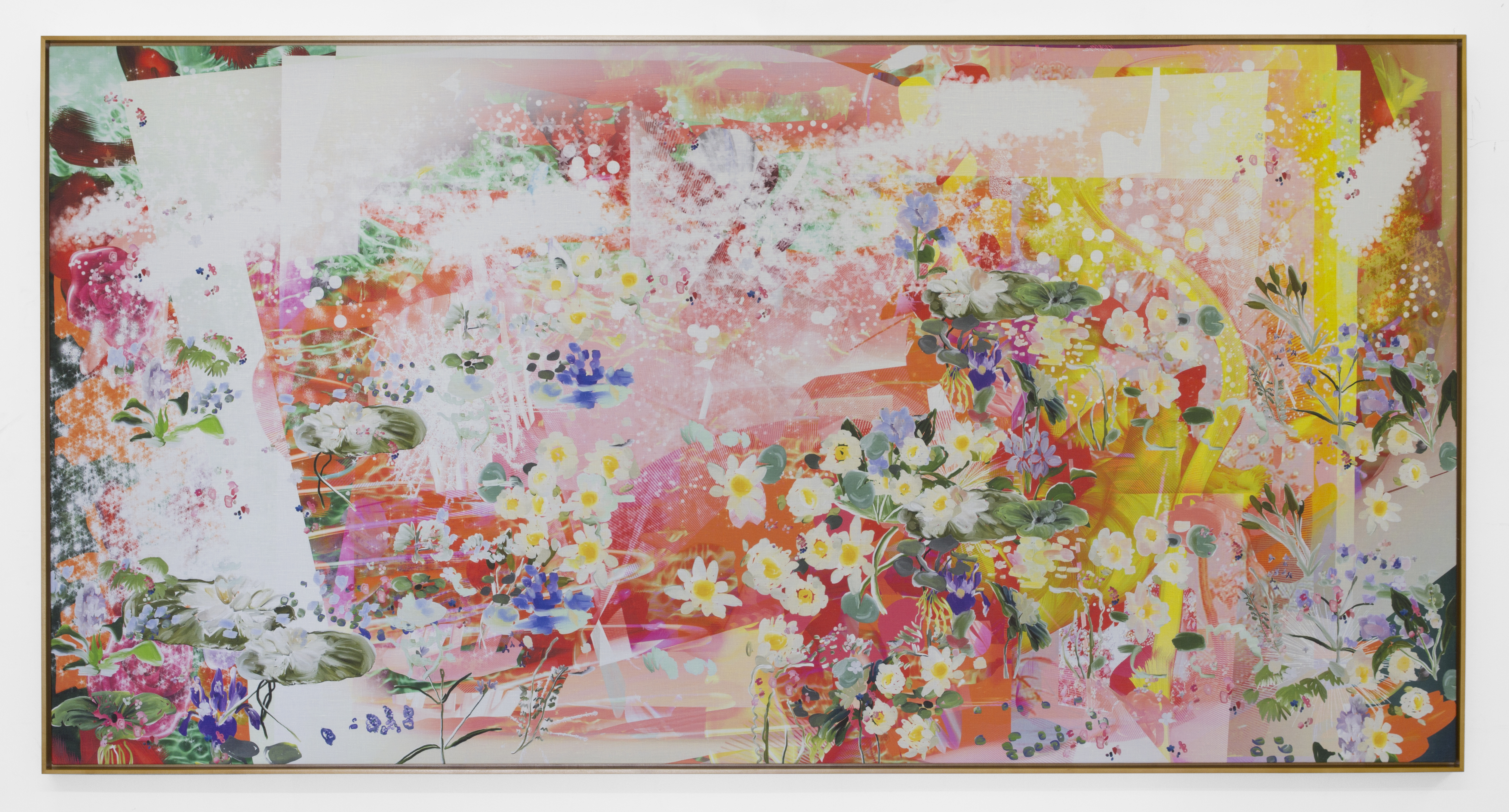 Petra Cortright /&nbsp; Zero-Day Darling