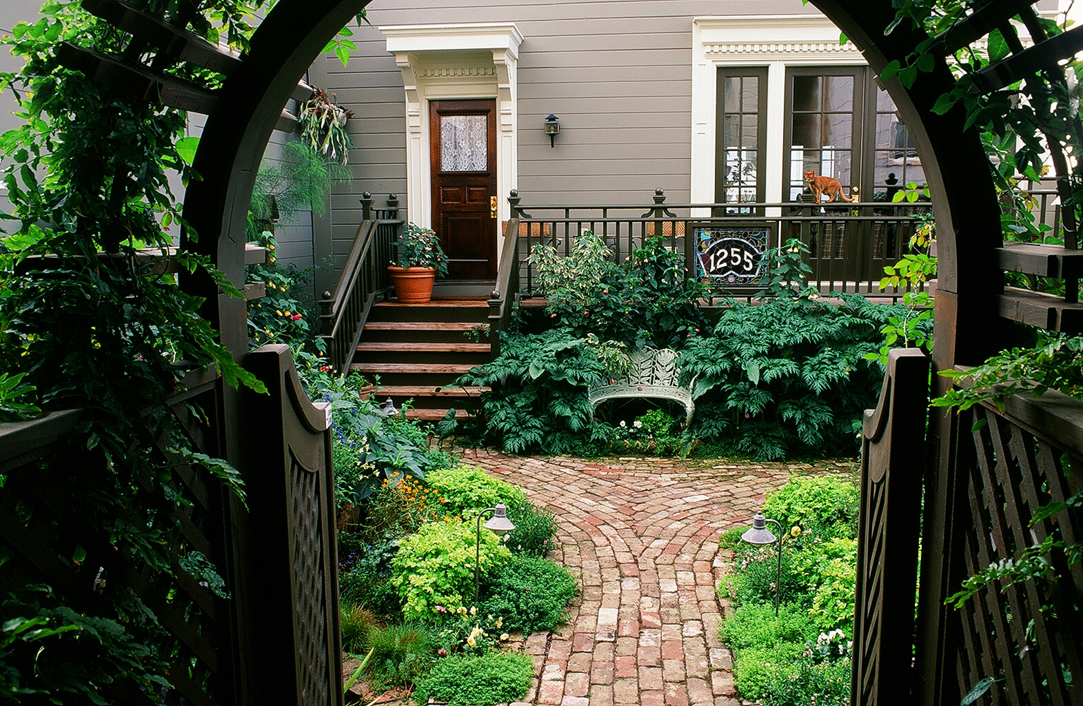 Capturing the Garden in Your Camera