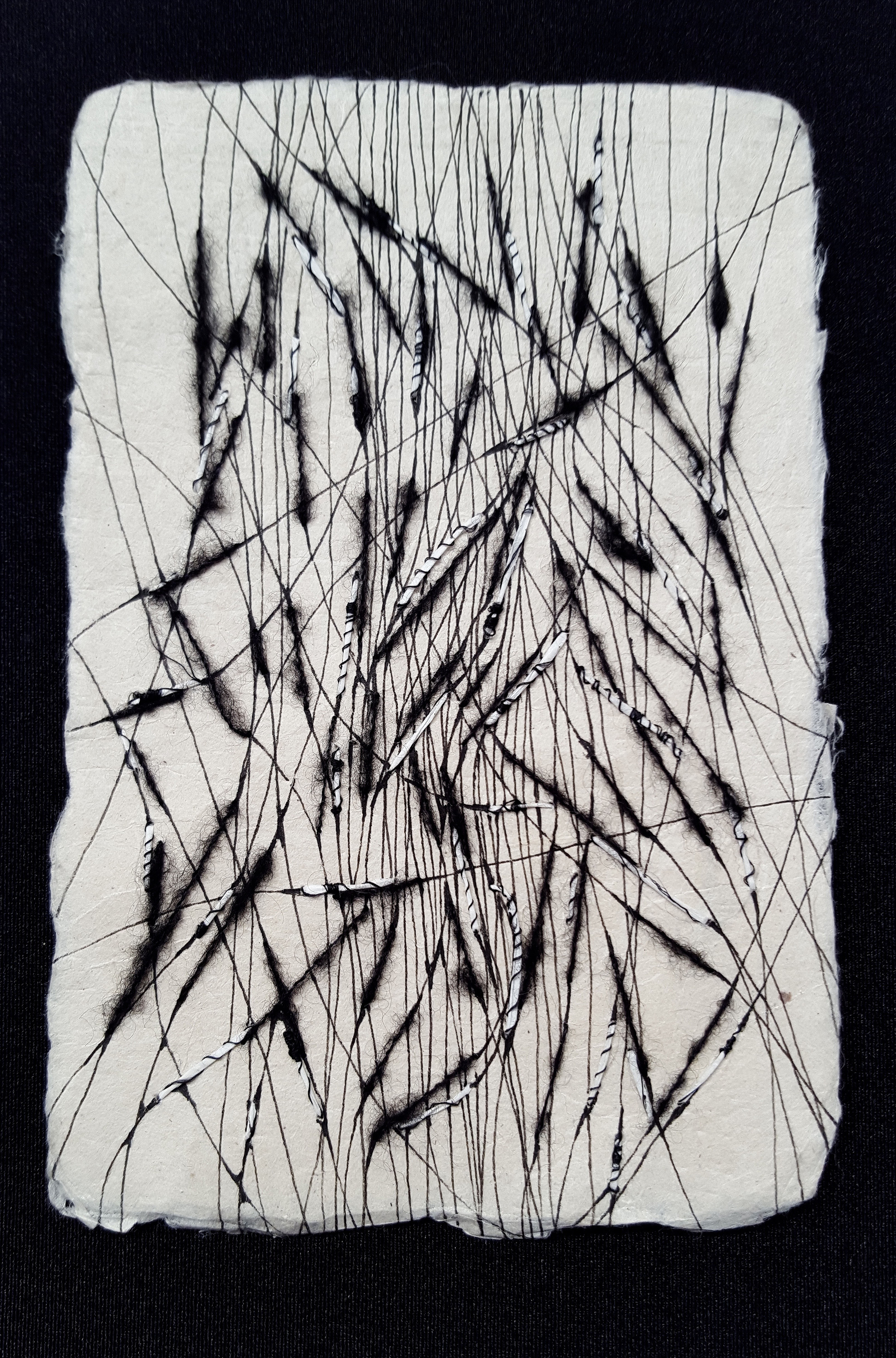 Fibers & Threads | Works in Paper by Chloe Bensahel