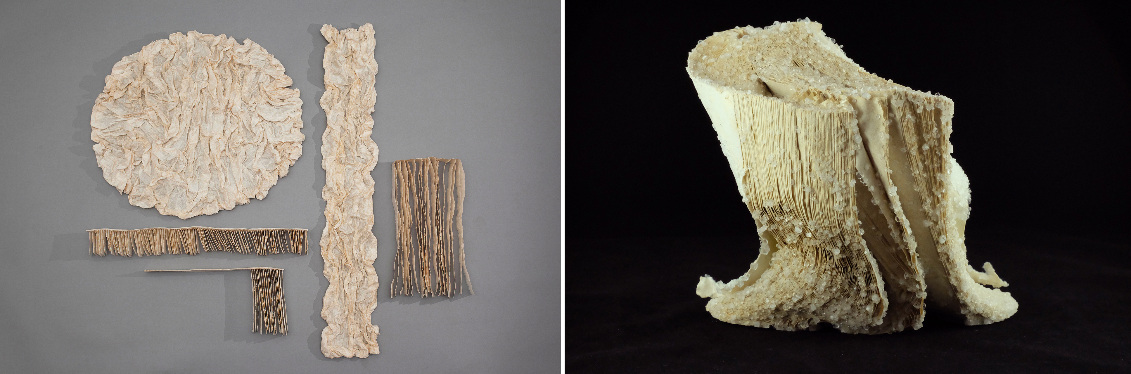 Material Limit: Alexis Arnold + Mary Button Durell