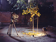 Víctor Erice-Abbas Kiarostami: Correspondences (Spain/Iran, 2005–07)