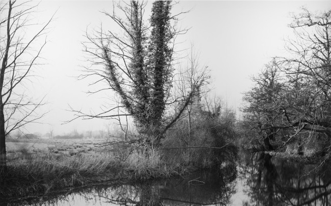 The Outside World