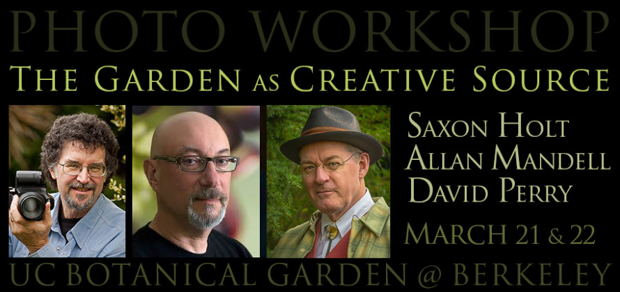 The Garden as Creative Source Photography
