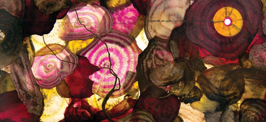 Julia Anne Goodman: Unearthed