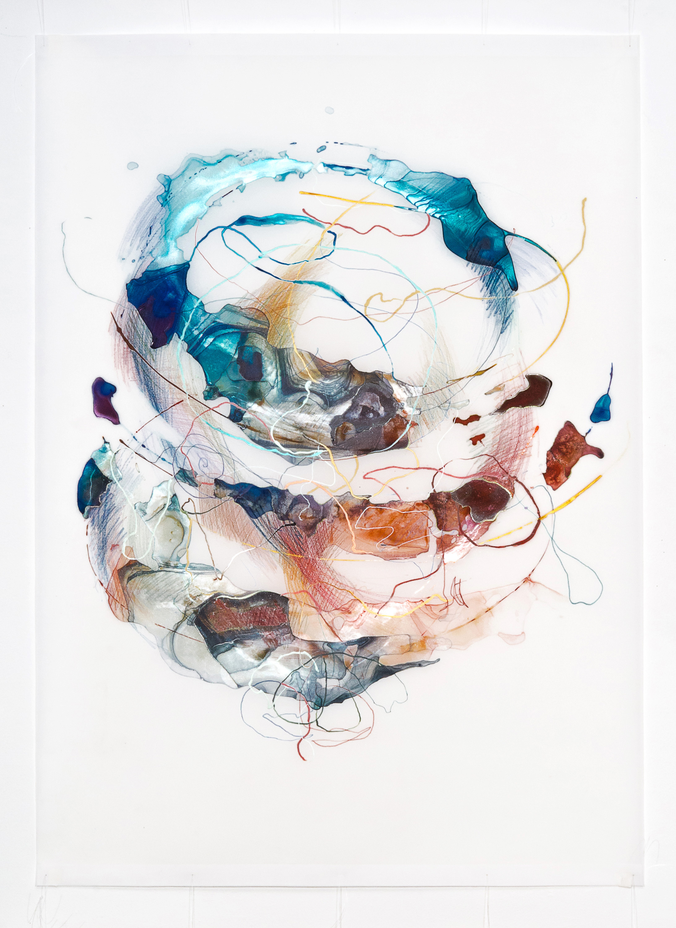 Rebecca Haseltine