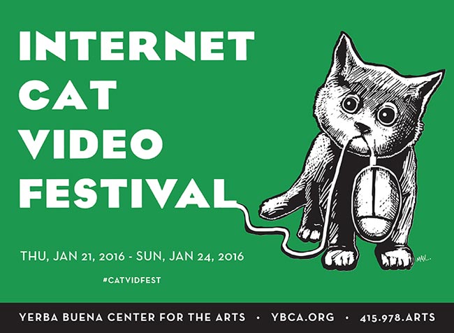 Internet Cat Video Festival