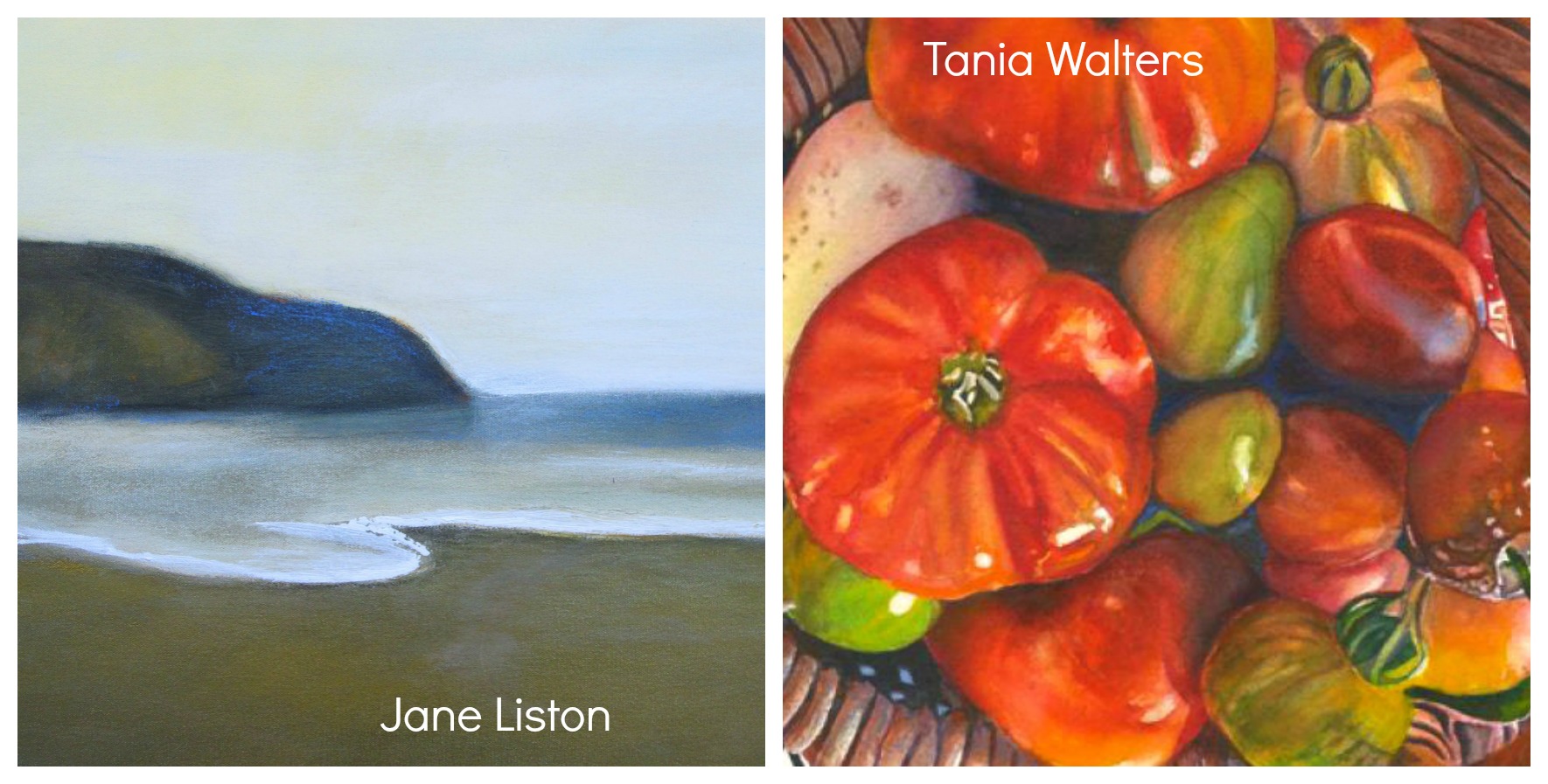 MarinMOCA Artists on Exhibit at Novato City Offices