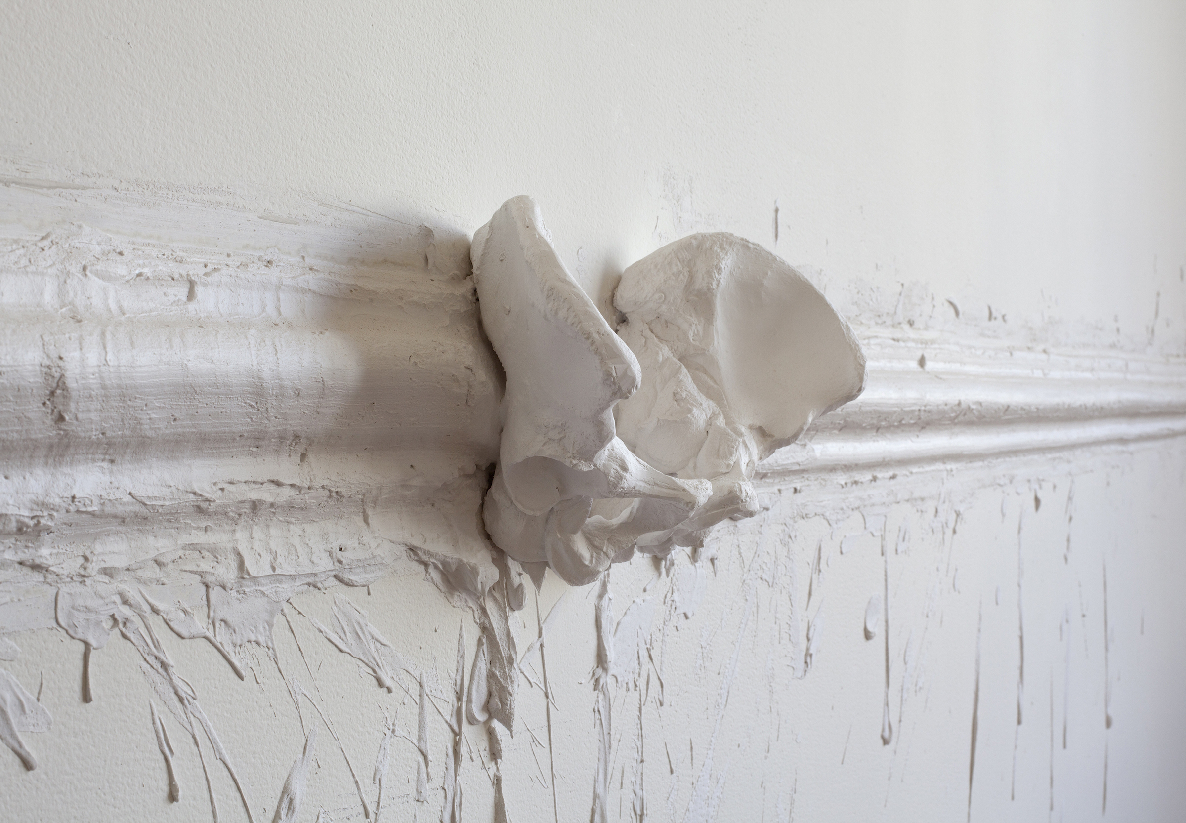 Janine Antoni: Turn