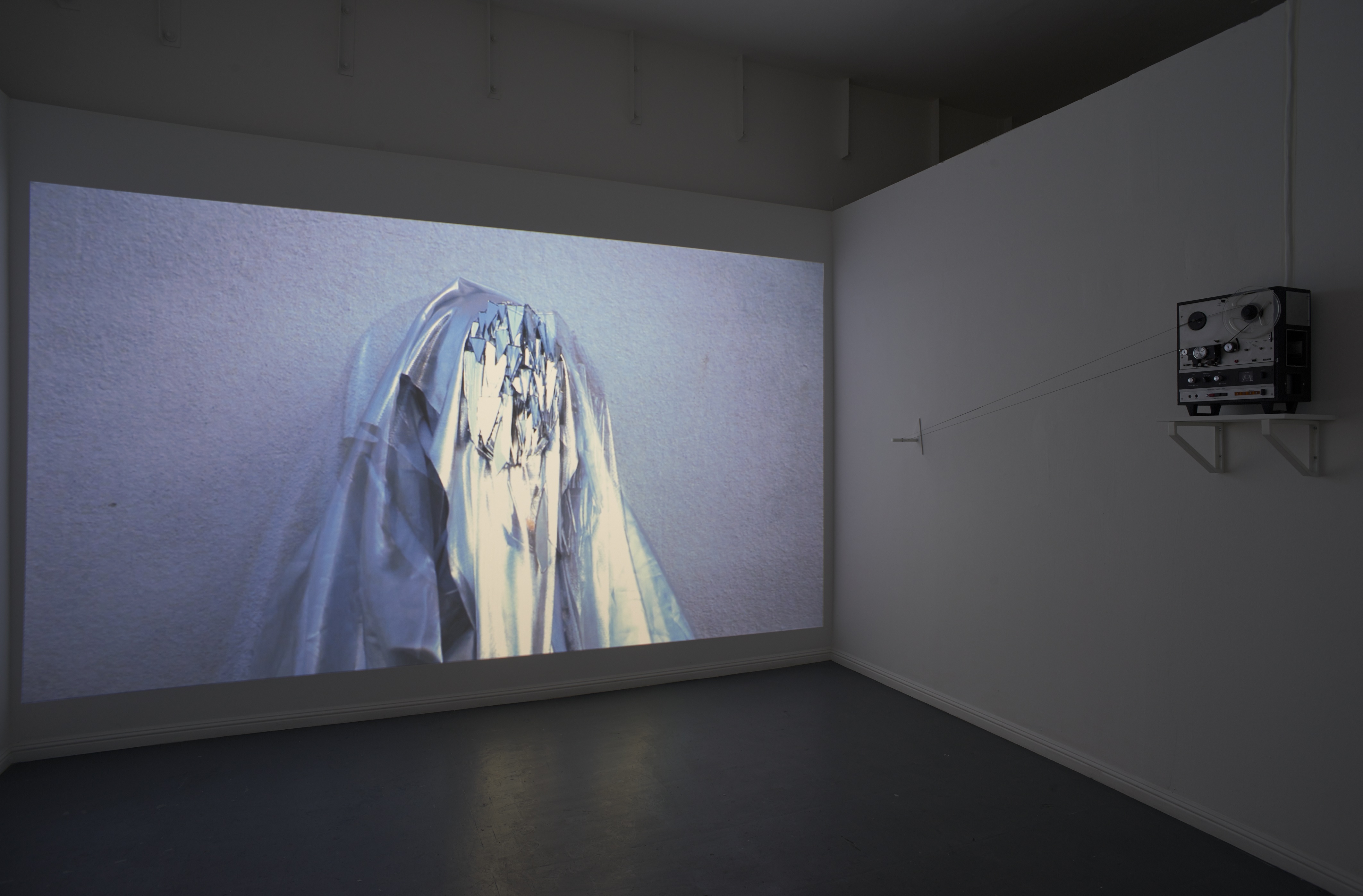 Suzy Poling: Total Internal Reflection