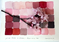 Local Color: Seeing Place Through Watercolor