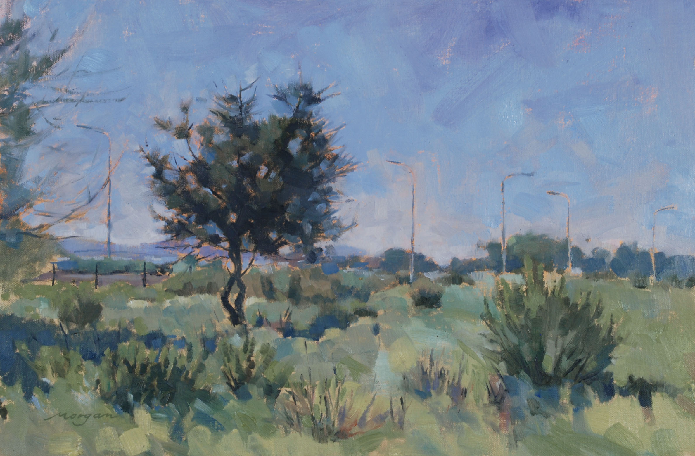 Into the Wild, A Solo Exhibition by Jamie Morgan