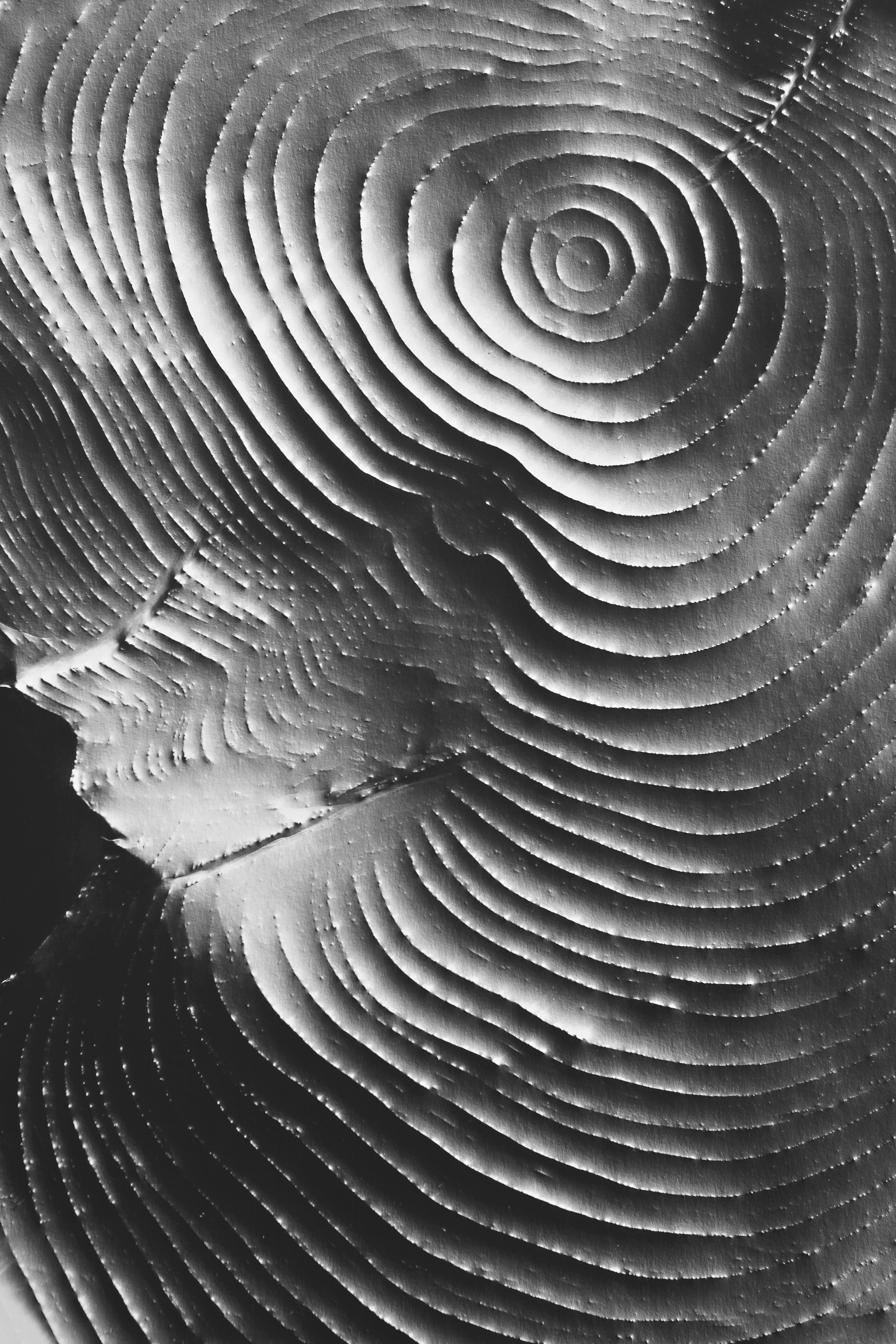 Of Many Minds Exhibition