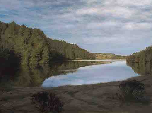 29th Annual MarinScapes Fine Art Exhibit & Benefit
