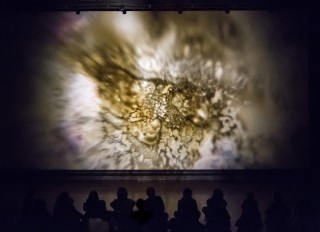 Perpetual Motion | Ken Jacobs’ Nervous Magic Lantern