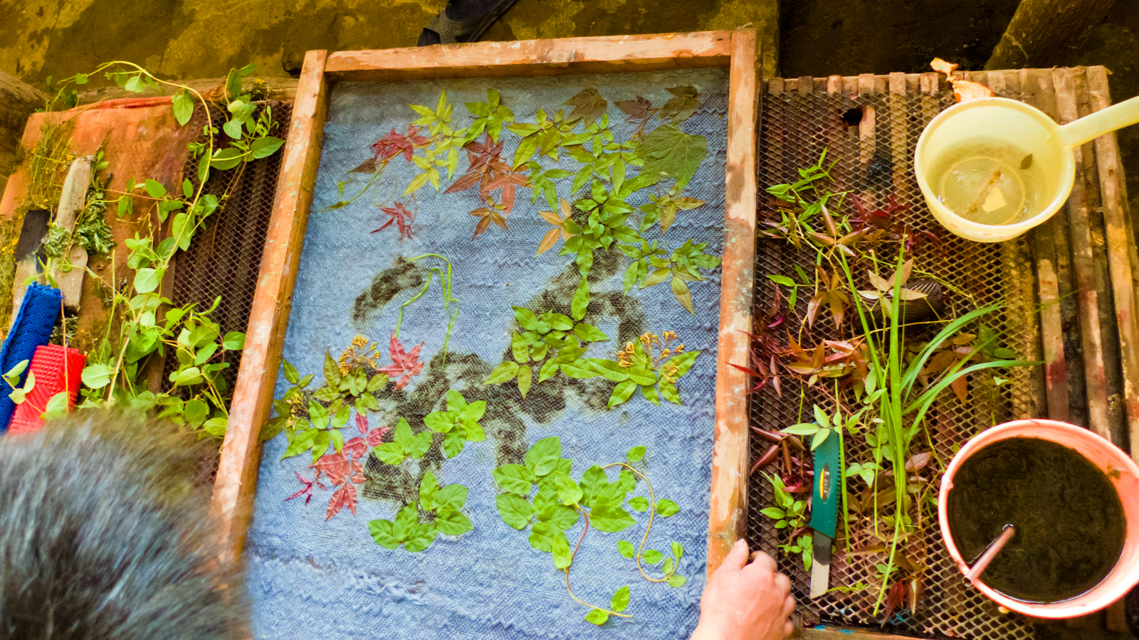 Papermaking with Plants