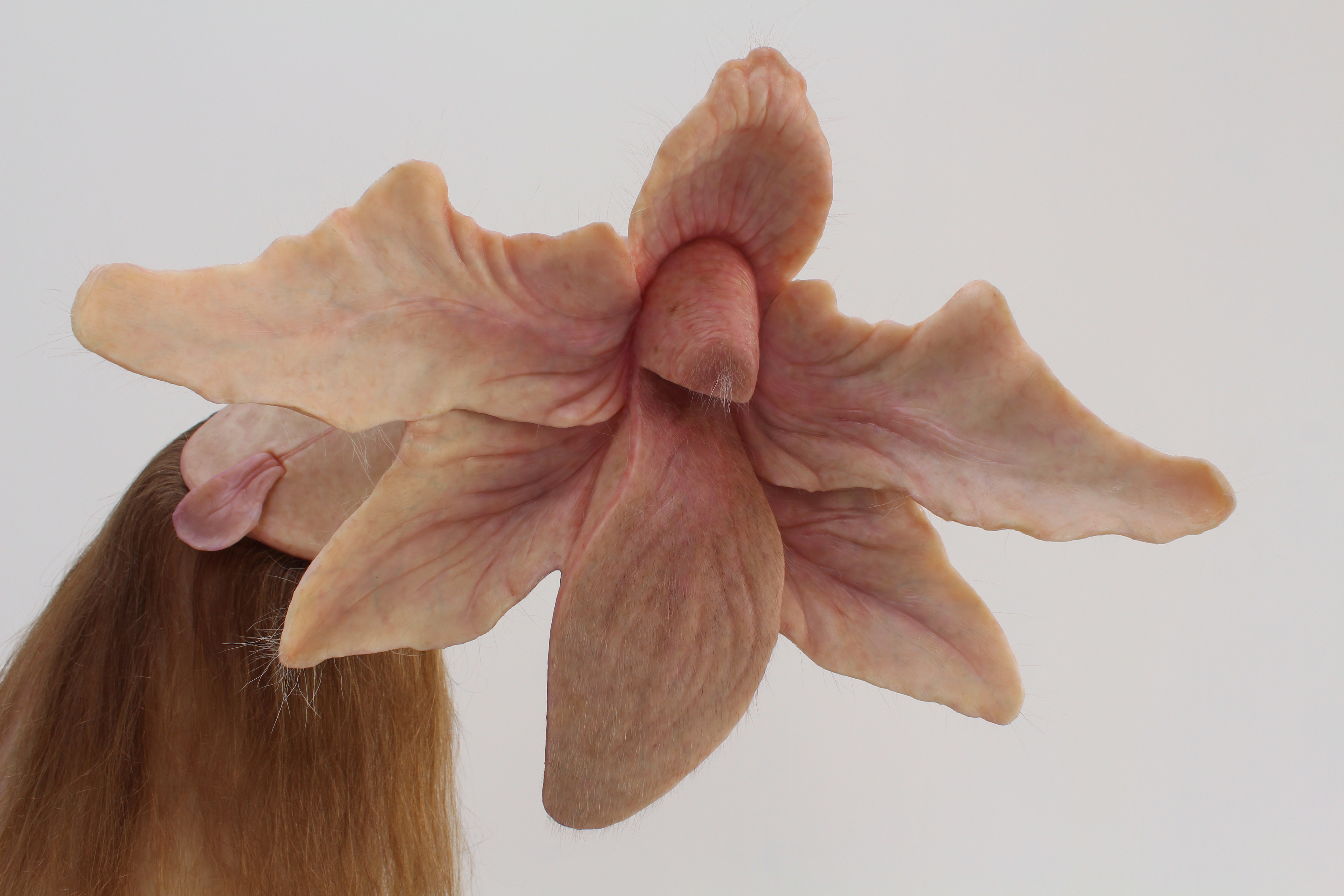 Patricia Piccinini: We feel, conceive or reason, laugh or weep