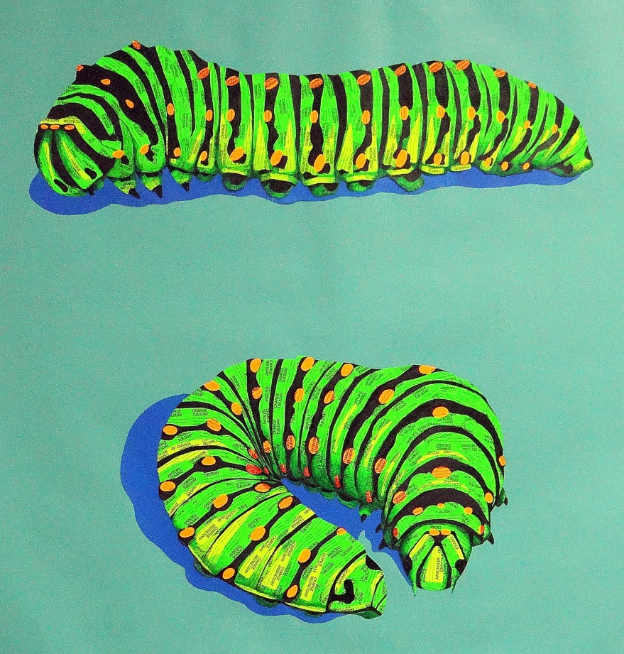 Divergent Thinking - new work by Ruth Santee