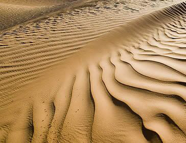 Kate Mitchell Presents Terrain