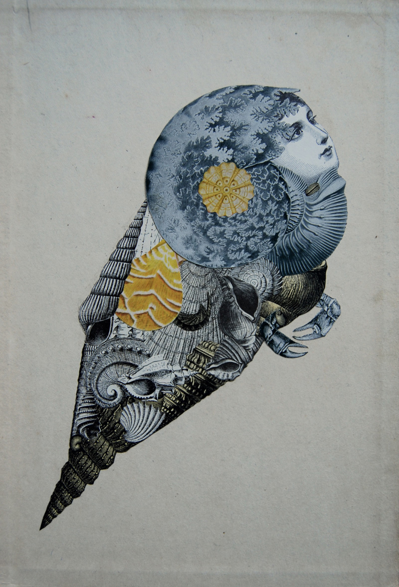 Collage Workshop with Katie McCann!