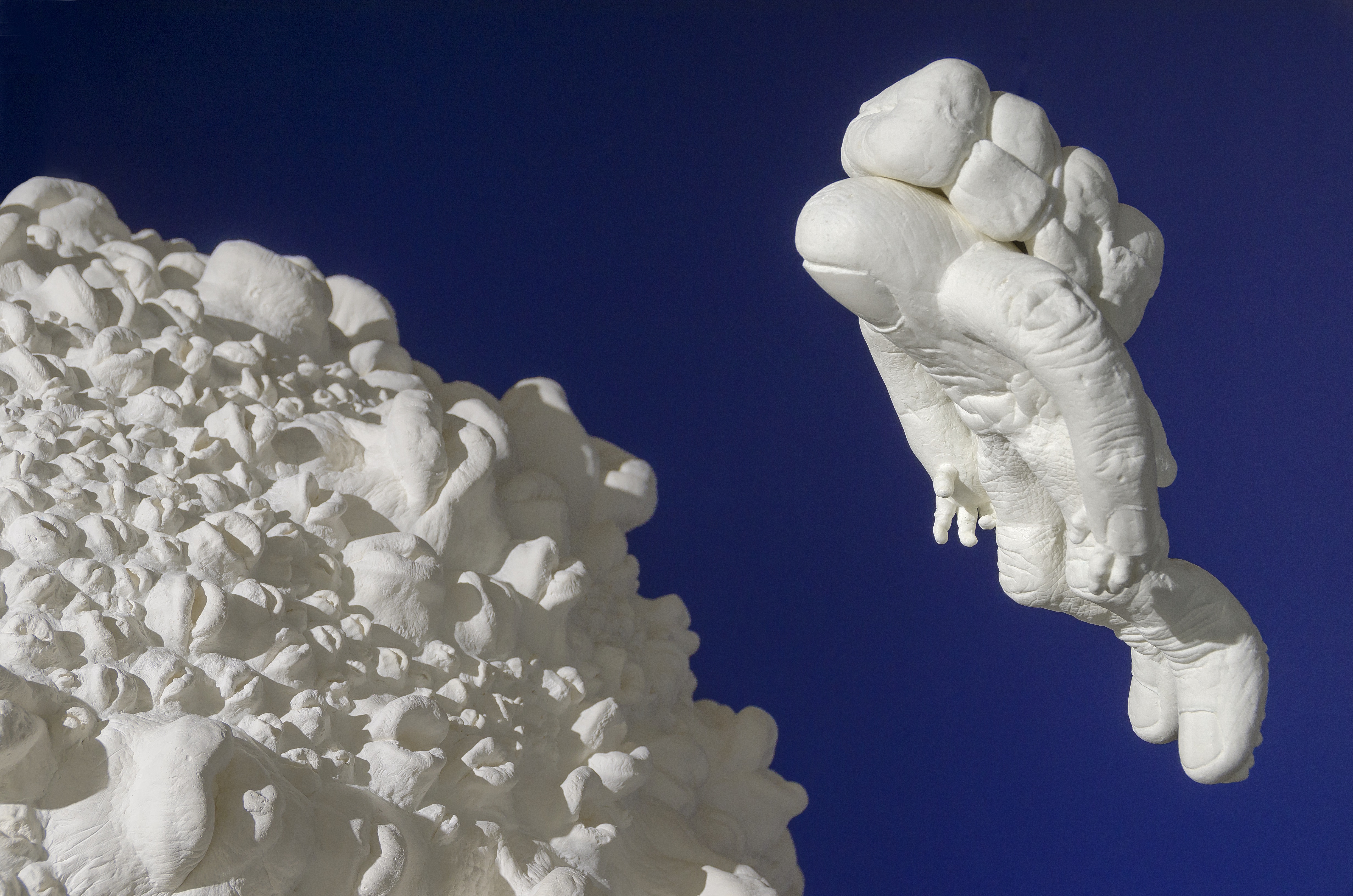 Tim Hawkinson: Garden Variety