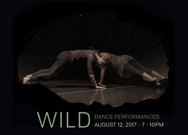 Wild Dance Performances