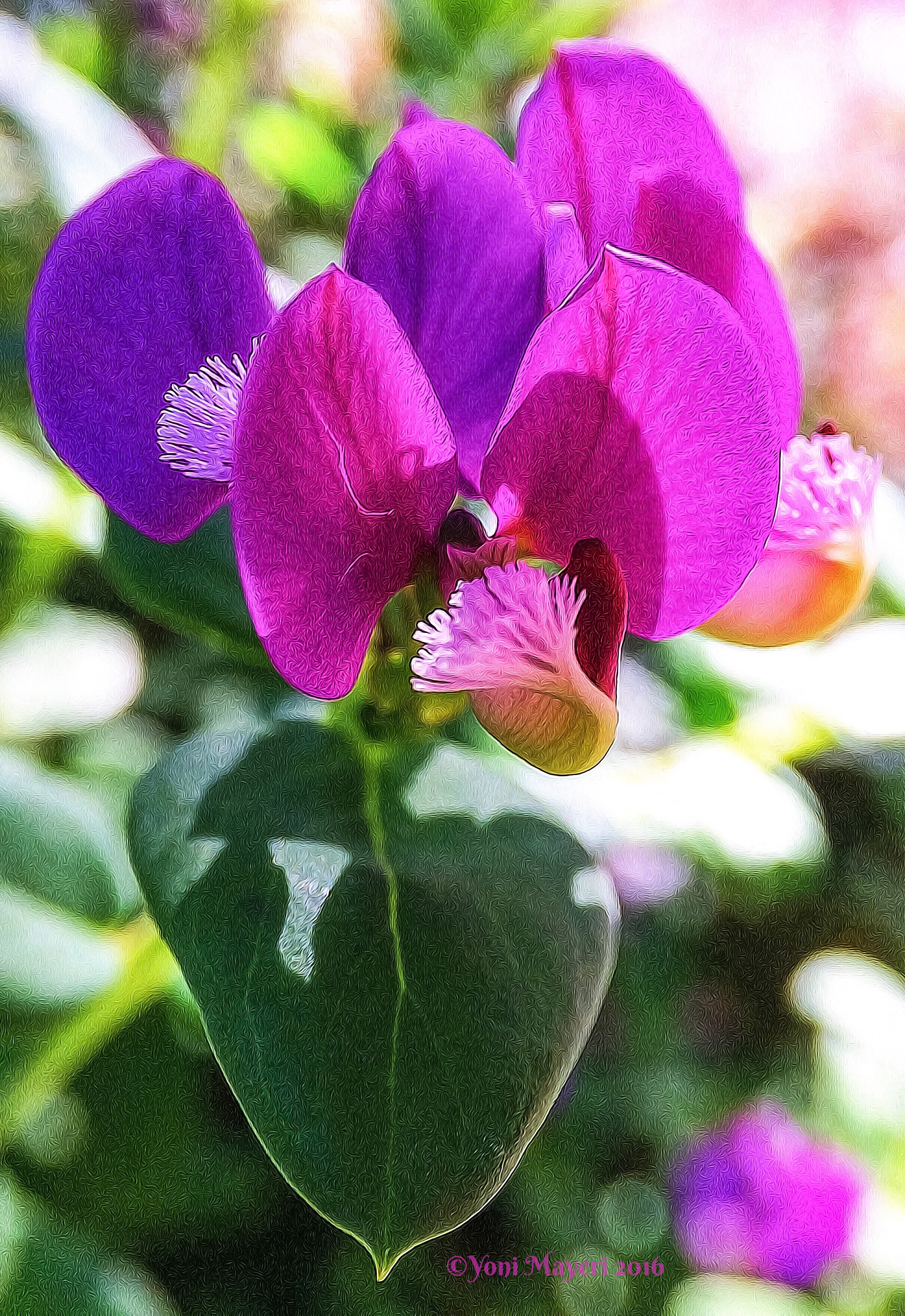 iPhoneography: Using Your Smartphone to Make and Edit Photographs