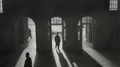 Roman Vishniac Rediscovered